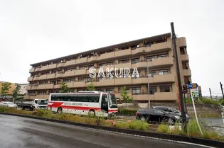 ルネス パルルの画像