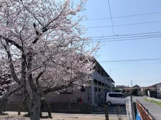 ロイヤルハイツの画像