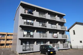 アカデミーコートニュートンの画像