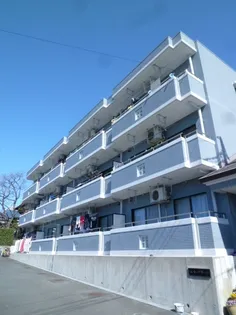 エバーグリーンの画像