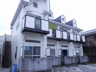 IVYの画像