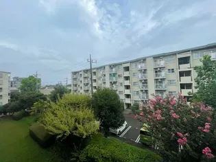 コーポ下鶴間 5号棟の画像