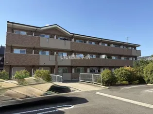 セイバリーヒルの画像
