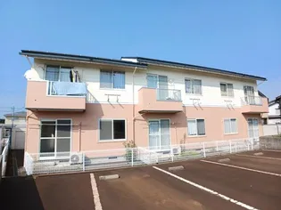 ニューシティキャットパートIの画像