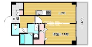リバー21【5階】の間取り