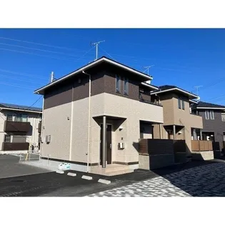 マーベルBの画像