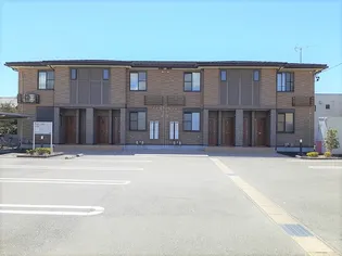 エクシブの画像