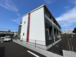 ブランニューY&Sの画像