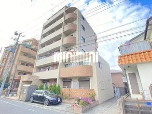 スプリングライトの画像