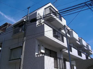 フラットマーローの画像