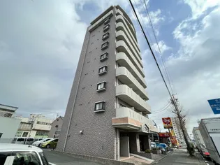 コスモの画像