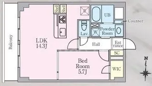 Ladder High【3階】の間取り