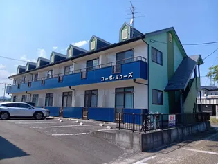 コーポ ミューズの画像