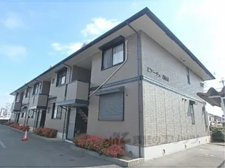 ピアーチェイマイの画像
