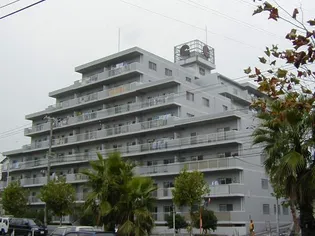 カサベラ遠石の画像