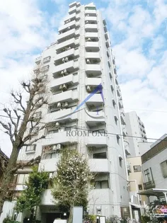 ライオンズプラザ白山【11階】の外観