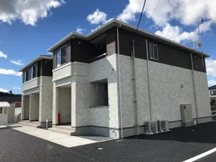 リトル プラムの画像