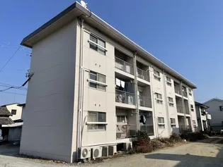 サン フィールドの画像