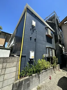 ソフィア花畑の画像