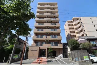 TRIBUTE元浜の画像