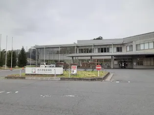 ビネストマンション【3階】の周辺