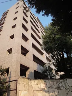 ヒルズ久が原壱番館の画像