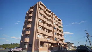 センチュリーヒルズ【7階】の外観