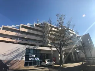 クエスタ デル ラモスⅡの画像