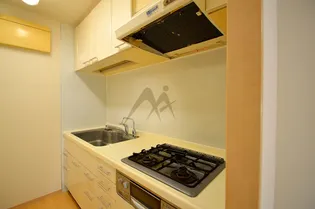 日神パレステージ東新宿イーストフォート【6階】のキッチン