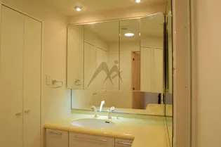 日神パレステージ東新宿イーストフォート【6階】の内装