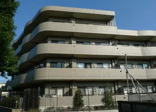 プリムローズの画像