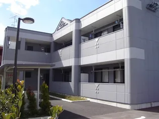 グリーン コートの画像