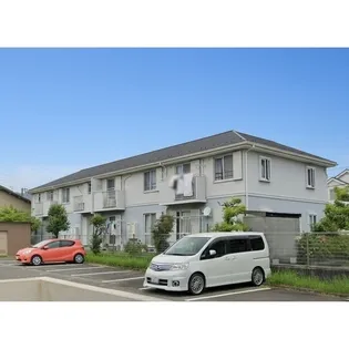 アルビフローラの画像