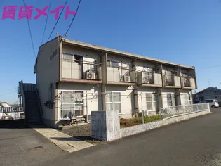 タウニーイイダの画像