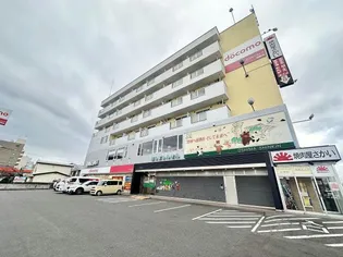 ピュアパレス五稜郭【4階】の外観