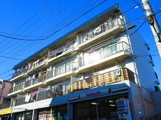 グランディーヌの画像