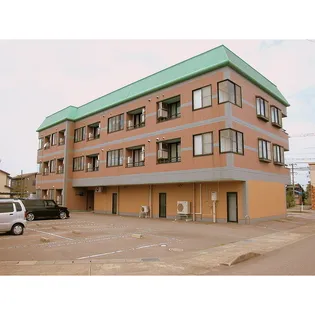 クレッセントタカバタケの画像