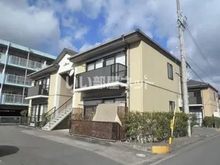 セスカ Cの画像