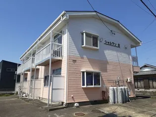 シャルマンBの画像