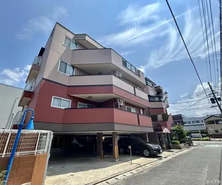 コモン尾花の画像