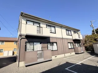 ディアス ニートAの画像