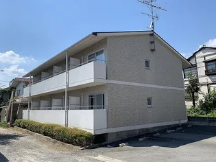 白川ベリタスの画像