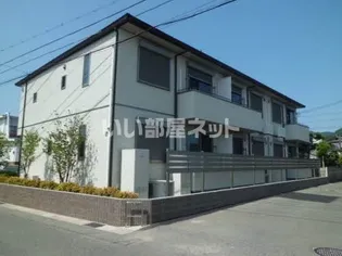 プルメリアの画像