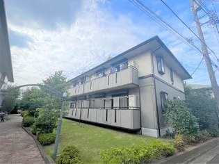 サザンクロスの画像