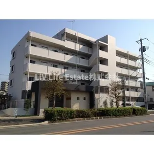 エル パライソの画像