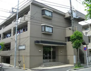 グレースナカジマの画像