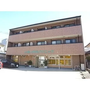ナオビの画像
