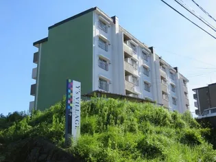 Y'SVILLAGE IIの画像