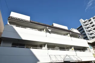 メゾン幸ビルの画像