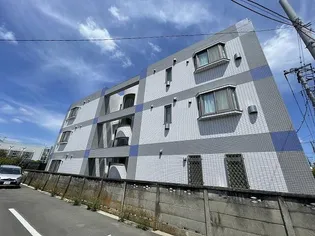 マーサジュンの画像